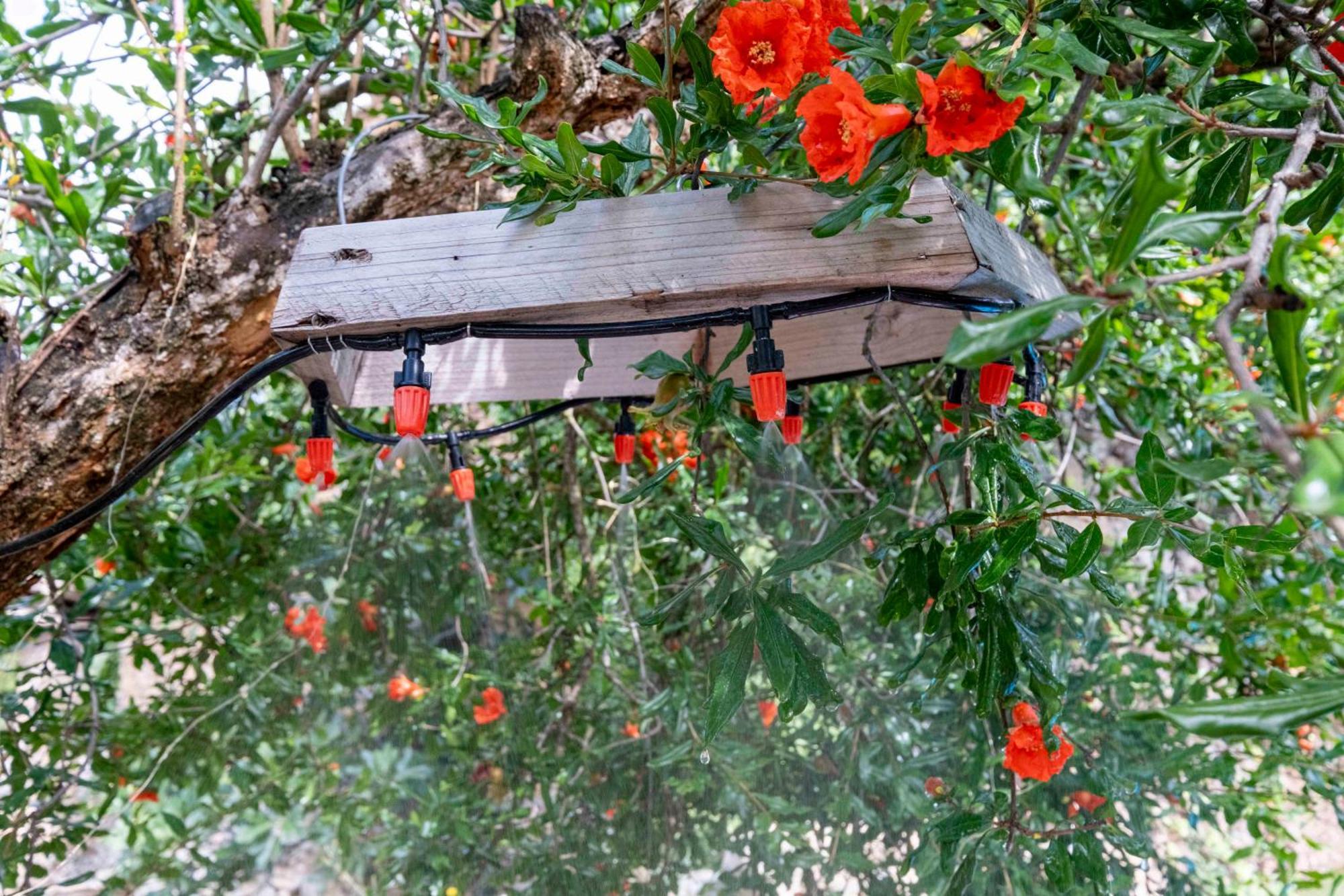 Vila Casa Acollidora I Familiar Amb Jardi I Barbacoa Ager Exteriér fotografie